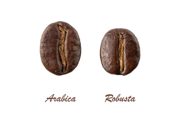 Темно Жареная Арабика Robusta Кофе Зернах Крупным Планом Изолированы Белом Лицензионные Стоковые Фото