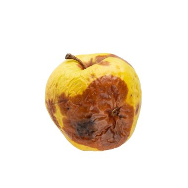 Bozulmuş çürük yeşil elma beyaz arka planda izole edilmiş. Yiyecek atıkları.