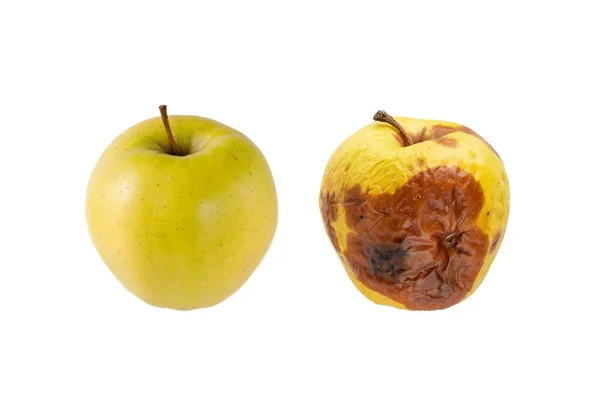 Φρέσκα Ώριμα Και Κακομαθημένα Σάπια Κίτρινα Πράσινα Μήλα Που Απομονώνονται Royalty Free Φωτογραφίες Αρχείου
