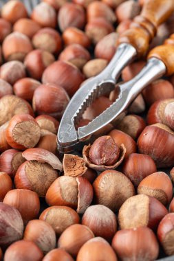 Eski gri metal tepsi arka planında fındık kıracağı ile kabuklu fındık yığını. Sığ alan derinliğine sahip seçici odak.