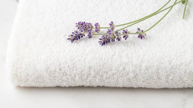 Mor lavanta çiçekleri, beyaz yumuşak pamuklu havlu ve mermer masa arkaplanı. Ev hayatı. Wellness Otel dekorasyonu. Kopyalama alanı olan spa arkaplanı.