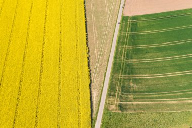 Alman kırsalının havadan güzel manzarası. Güneşli yaz gününde tarlaların doğal renk deseni. Drone fotoğrafçılığı