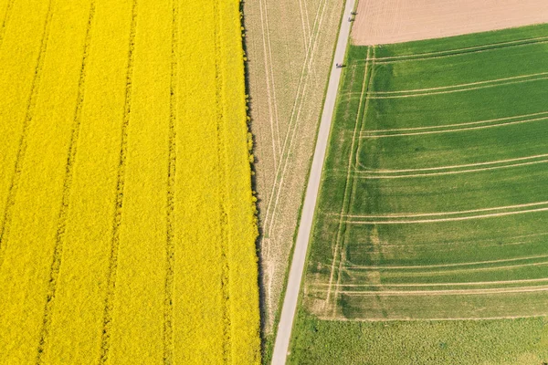 Alman kırsalının havadan güzel manzarası. Güneşli yaz gününde tarlaların doğal renk deseni. Drone fotoğrafçılığı