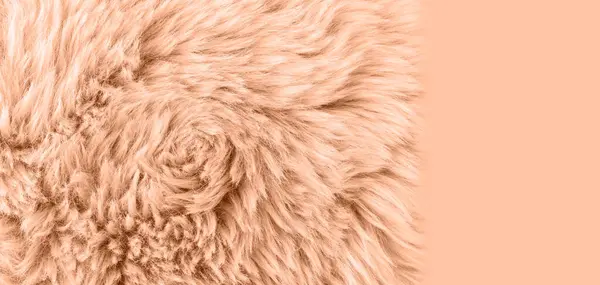 Natural sheepskin fur texture as background in trendy color 2024 year Peach Fuzz with copy space. Detail of sheep skin fur rug.