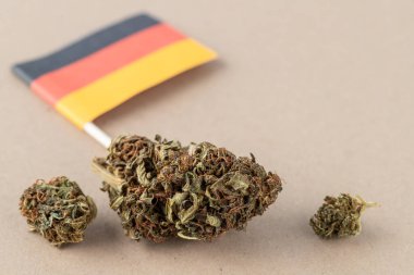 Esrar ya da marihuana çiçeği tomurcuğu ve bej kağıt üzerinde Alman ulusal bayrağı. Almanya 'da esrar yasallaştırma kavramı.