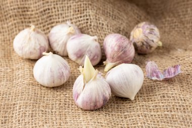 Çuval bezinde lahanalı sarımsak soğanı. İlkbaharda ekmek için sarımsak..