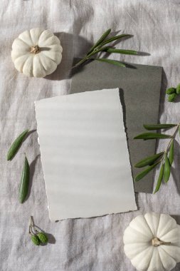 İçinde el işi zarfları, beyaz bebek balkabakları ve gri bej keten kumaş arka planında doğal zeytin dalları olan boş bir kartpostal. Davetiye, çiçek ya da şükran günü kartı..