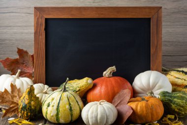 Yenilebilir taze balkabağı ve ahşap masa arkasındaki boş kara karatahta çeşitleri. Mevsimlik olgun sonbahar sebzesi. Mutlu şükran günleri..