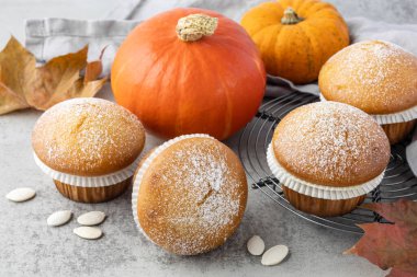 Taze pişmiş balkabaklı tarçınlı kek şekerli pudra şekeri. Sonbahar mevsimlik tatlı olarak yakın plan. Rafta tatlı kekler, balkabağı sebzeleri ve tohumlar, açık gri masa zemininde akçaağaç yaprakları.