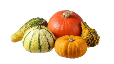 Beyaz arka planda izole edilmiş yenilebilir çiğ balkabağının farklı çeşitleri. Mevsimlik olgun sonbahar sebzesi. Sebze koleksiyonu.