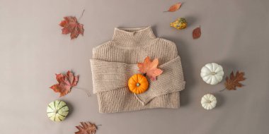 Katlanmış bej rengi doğal karıştırılmış süveter ve rengarenk yapraklı farklı balkabakları tarafsız bej arka planda yatıyordu. Sonbahar ve kış saf yün giysiler. Örgü giyim modası. Merhaba sonbahar ya da mutlu şükran günü bayrağı.