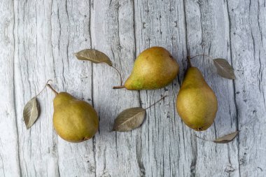 Olgun kahverengi, armut armudu armudunun her çeşidinde, ahşap arka planda korkunç yaprakları olan beurre bosc. Bütün armudu yeni hasat ediyoruz. Sağlıklı yemek..