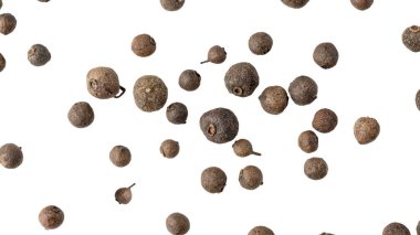Beyaz arka planda kurumuş tüm baharat dutları uçuşuyor. Aromatik baharatlı mutfak malzemesi. Baharat kartı.