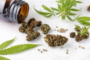 Kenevir yapraklı, kurumuş kadın ot tomurcukları. Cam kavanozda ve mermer masada duran esrar tomurcukları. Kenevir tohumu yakın plan. Eğlence amaçlı marihuana türü. 