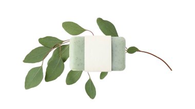 Boş kağıt kapaklı yeşil bitkisel sabun ve beyaz arka planda izole edilmiş taze okaliptüs dalları. Vücut bakımı el işi ürünü ya da spa sağlık konsepti. Kopyalama alanı olan maket kartı