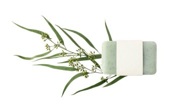 Boş kağıt kapaklı yeşil bitkisel sabun ve beyaz arka planda izole edilmiş taze okaliptüs dalları. Vücut bakımı el işi ürünü ya da spa sağlık konsepti. Kopyalama alanı olan maket kartı