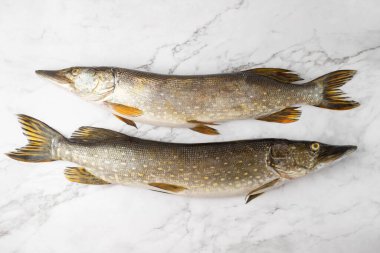 Mermer taş masa zemininde soyulmamış iki kuzey turna balığı. Çiğ tatlı su balığı hazırlanmaya ve pişirmeye hazır..