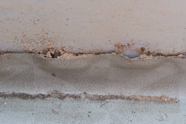 Close-up view of the termite mound on the house wall.