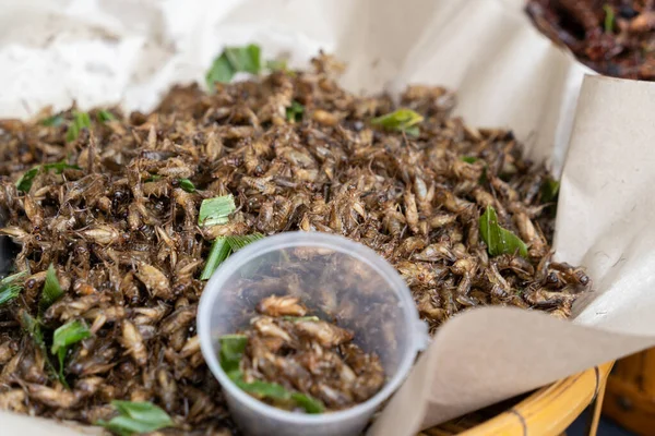 stock image Deep fried inserts is one of the famous snack in Thailand.