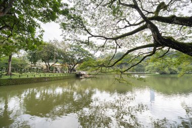 Kuala Lumpur Perdana Botanik Bahçeleri olarak da bilinen göl bahçeleri, KL 'nin ilk büyük ölçekli eğlence parkıdır. İnsanlar onun etrafındaki egzersizleri görebilir..