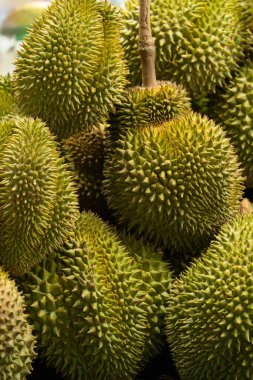 Piyasa için taze yeşil durian meyveleri ve dikenli kabukları üst üste yığılmış.