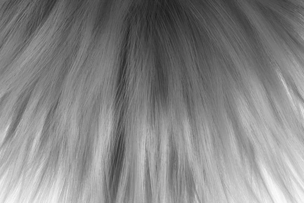 Texture Abstraite Des Cheveux Gris Coiffure Fluide Fond Minimaliste Abstrait — Photo