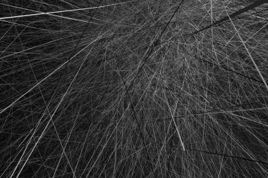 Modern doğrusal dokusu olan siyah beyaz sanat. Psikedelik ağ soyut 3d oluşturma arkaplanı