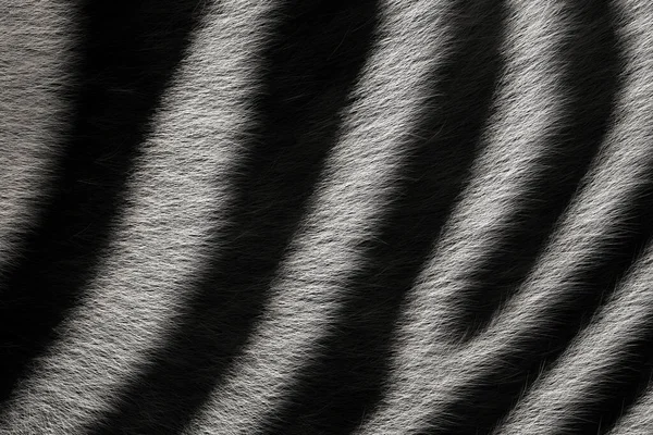 Zebra Wool Animal Skin Texture Black White Striped Nature Background — Stock Photo, Image