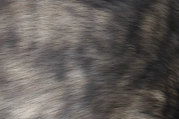 繊細なグレーの動物のウールの質感の背景 — ストック写真