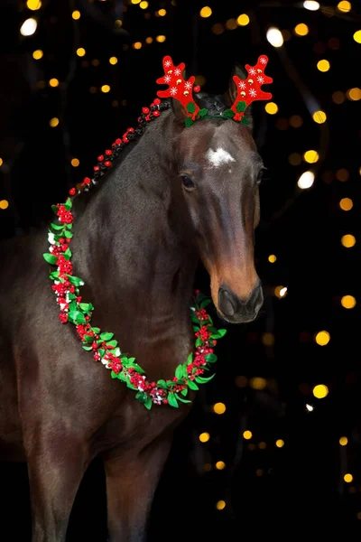 Bay Paard Kerst Decoratie Zwarte Achtergrond — Stockfoto