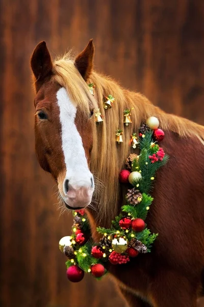 Ontwerp Rood Paard Portret Met Lange Manen Kerstversiering — Stockfoto