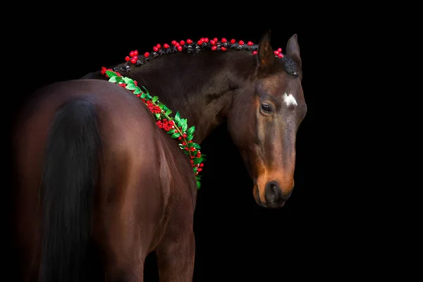 Bay Cavallo Decorazione Natale Sfondo Nero — Foto Stock
