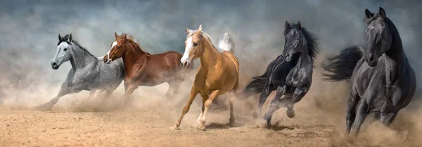 Cavallo Gregge Galoppante Sulla Polvere Sabbiosa Contro Cielo — Foto Stock
