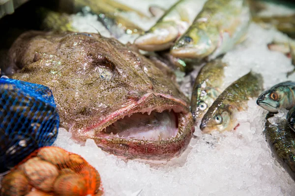 Verse Zeeduivel Het Aanrecht Vismarkt — Stockfoto