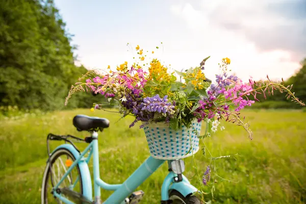 Bike with a basket of wild flowers on a meadow. Sunny summer day, rays of light, rural background. Summer vacation concept.