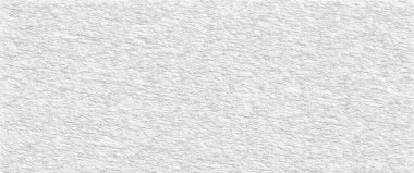 Monochrome texture background. Image includes the effect the black and white tones. Surface looks rough. Gray printing element. Backdrop texture wall and have copy space for text.