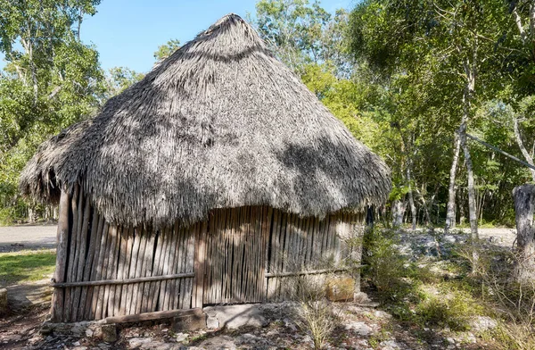 Picture of a Mexican jungle Mayan hut.
