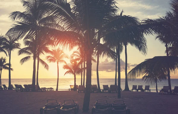 Tropical Παραλία Καρύδα Φοινικόδεντρο Σιλουέτες Στο Ηλιοβασίλεμα Χρώμα Τόνωση Εφαρμόζεται — Φωτογραφία Αρχείου
