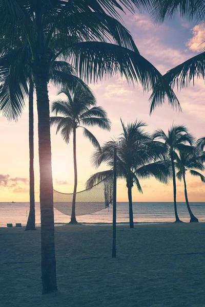 热带海滩 日落时有椰子树剪影 色泽柔和 — 图库照片