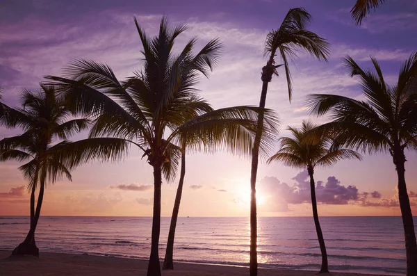 Τροπική Παραλία Στο Μωβ Ηλιοβασίλεμα Χρώμα Τόνωση Εφαρμόζεται Μεξικό — Φωτογραφία Αρχείου
