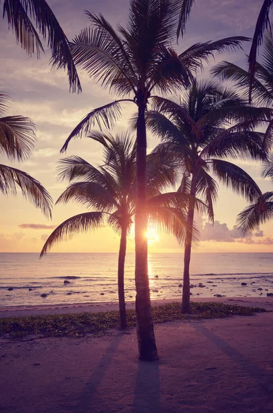 Günbatımında Tropik Plaj Renk Tonu Uygulanır Meksika — Stok fotoğraf