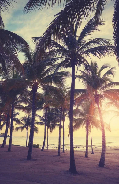 Tropischer Strand Bei Sonnenuntergang Farbtonung Aufgetragen — Stockfoto