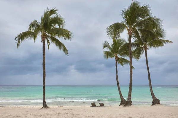 Τροπική Παραλία Φοίνικες Καρύδας Μια Βροχερή Μέρα — Φωτογραφία Αρχείου