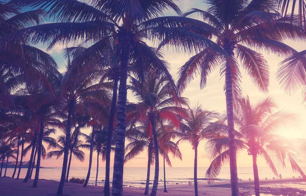 Tropisch Strand Met Kokospalmen Bij Zonsondergang Kleur Getint Beeld — Stockfoto