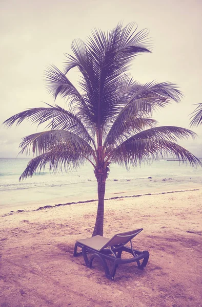 Palmeira Coco Uma Praia Tropical Tonificação Cor Aplicada — Fotografia de Stock