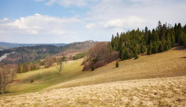 Udsigt Pienin Mountains Landskab Polen - Stock-foto
