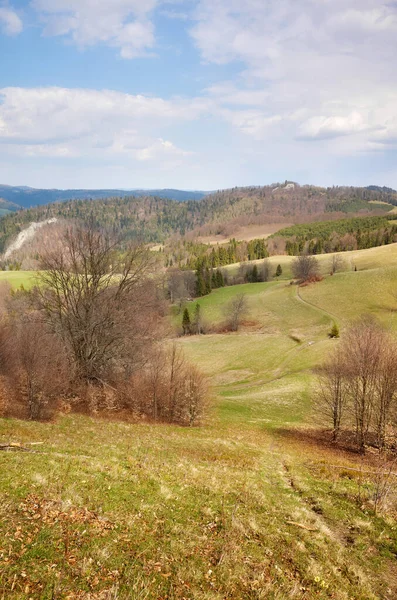 Pohled Krajinu Pieninských Hor Polsko — Stock fotografie