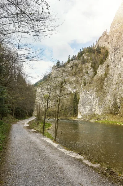 Path Dunajec River Pieniny Mountains Poland — Stock Photo, Image