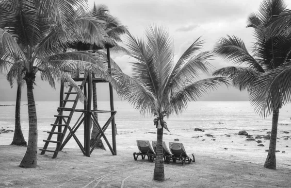 Foto Hitam Putih Dari Pantai Tropis Konsep Liburan Musim Panas — Stok Foto