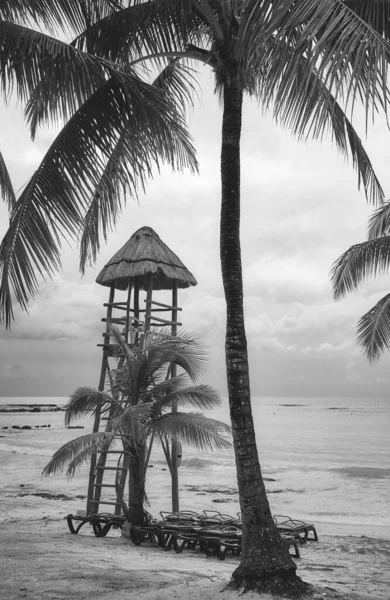 Ασπρόμαυρη Φωτογραφία Τροπικής Παραλίας Μεξικό — Φωτογραφία Αρχείου